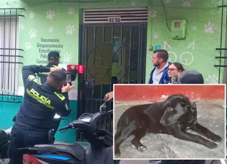 El centro veterinario fue sellado en 2024 tras la muerte de Alma.