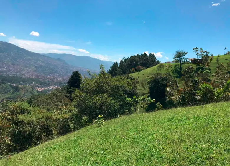 En este punto del cerro de las Tres Cruces ocurrió el asesinato de estas dos personas, a las cuales llevaron y les quitaron la ropa. FOTO: LAURA ROSA JIMÉNEZ VALENCIA