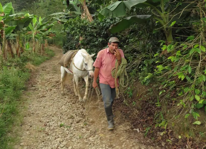 Fabio de Jesús Berrío es un campesino de Ciudad Bolivar. FOTO: ARCHIVO FAMILIAR