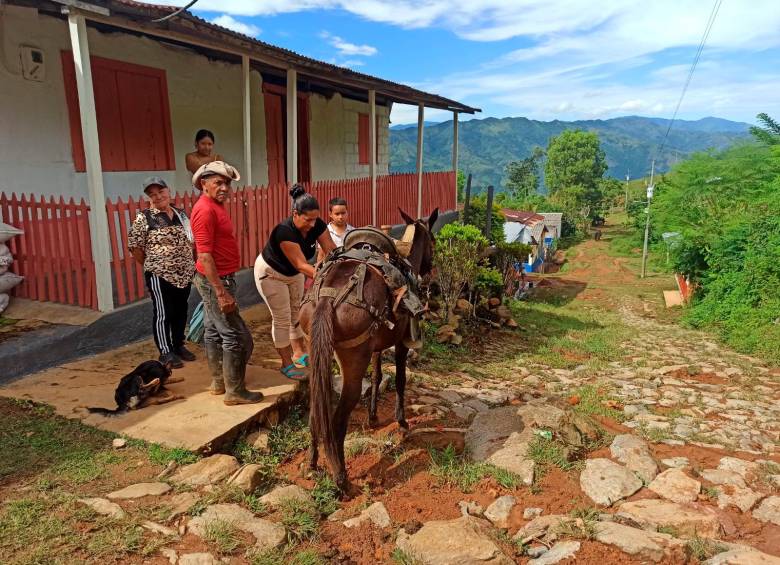 Habitantes de El Aro, en Ituango, hacen vaca y bingos para impulsar, por fin, la construcción de la vía que los conecte con el mundo