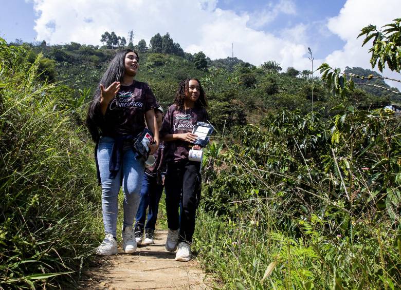 Niños montaron cultivo de café en las laderas de Bello y sueñan con exportarlo