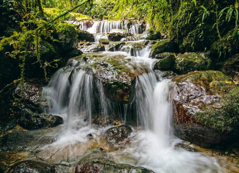 Reserva Natural El Romeral en el municipio de La Estrella. Área protegida estratégica para el Valle de Aburrá al abarcar más de cinco mil hectáreas de bosque, cascadas y montañas. Foto: Edwin Bustamante. Archivo El Colombiano