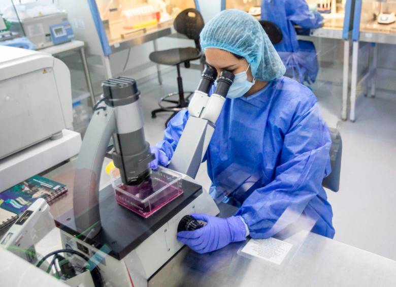 La agricultura celular, que consiste en producir alimentos o nutrientes a partir de cultivos celulares. Foto Camilo Suárez. 