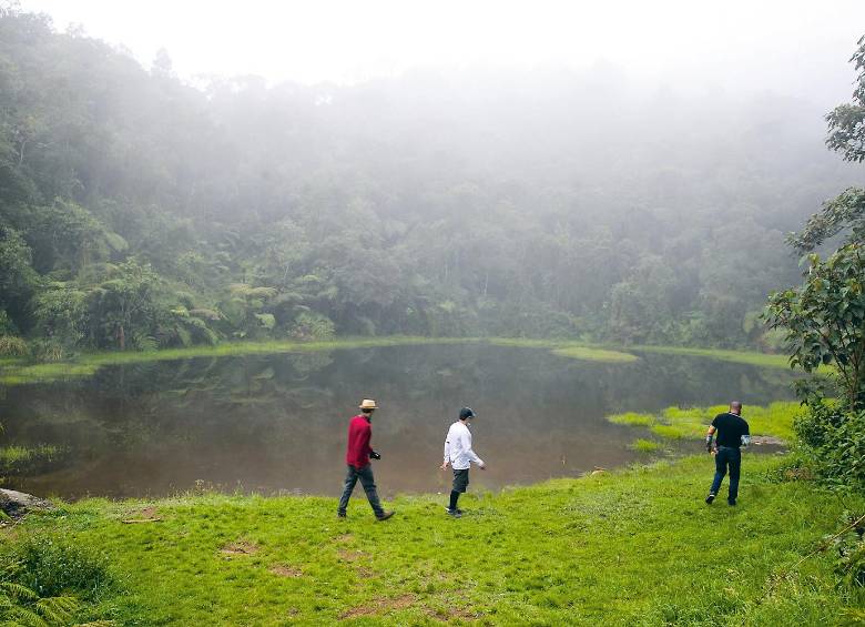 Dentro del perímetro del Romeral hay varios pluviales –lugares de más lluvia-, bosques de niebla y subpáramos, que son como fábricas de agua que deberían ser consideradas sagradas. FOTO Manuel Saldarriaga