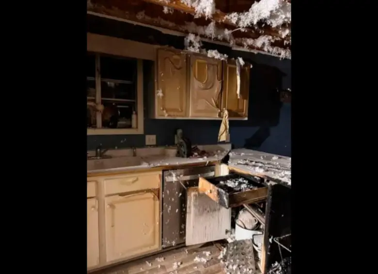 ¡Qué descuido! Joven puso a calentar un brownie en el microondas e incendió su casa