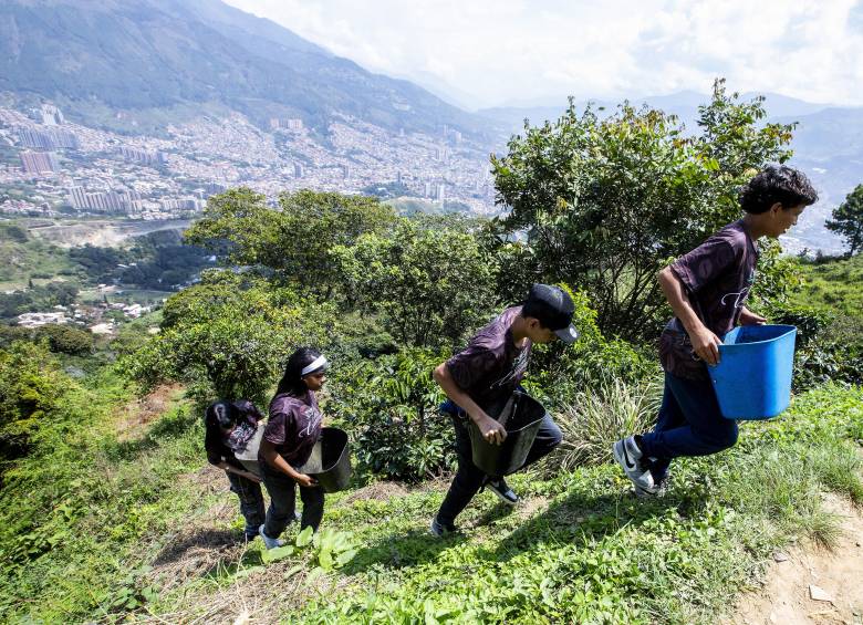 Niños montaron cultivo de café en las laderas de Bello y sueñan con exportarlo