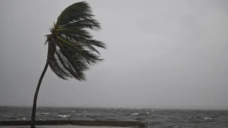 <span class="mln_uppercase_mln">En</span><b><span class="mln_uppercase_mln"> Kingston, Jamaica, se comienzan a sentir los fuertes vientos del huracán Melissa, que avanzó a categoría 5. FOTO: AFP</span></b> <span class="mln_uppercase_mln">En</span><b><span class="mln_uppercase_mln"> Kingston, Jamaica, se comienzan a sentir los fuertes vientos del huracán Melissa, que avanzó a categoría 5. FOTO: AFP</span></b>
