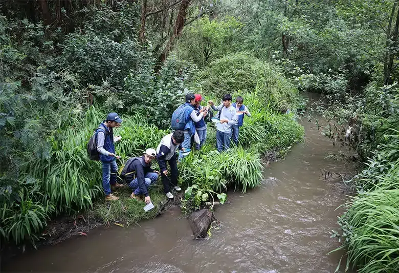 El Instituto de Ciencias Agroindustriales y del Medio Ambiente (ICAM), ha contribuido en el estudio de las aguas residuales de su municipio. Imagen tomada de T4 Education.