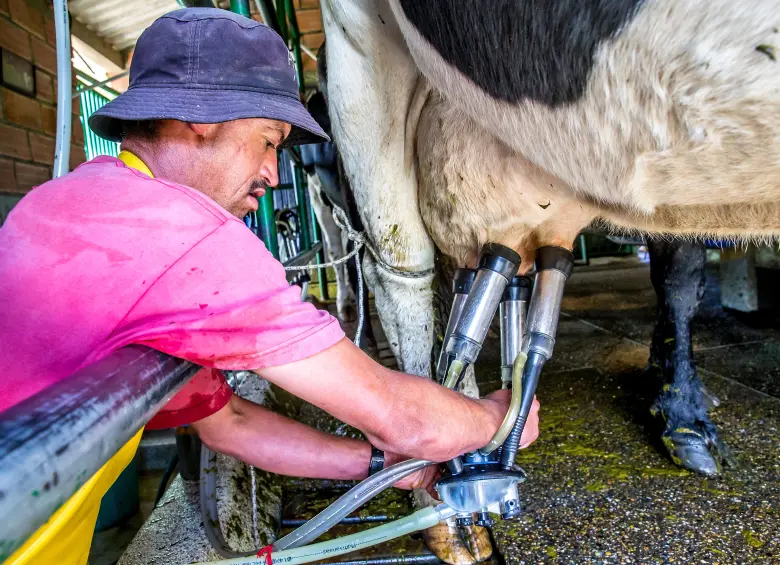 El sector lechero advierte que la leche debe llegar en menos de 48 horas para evitar pérdidas.