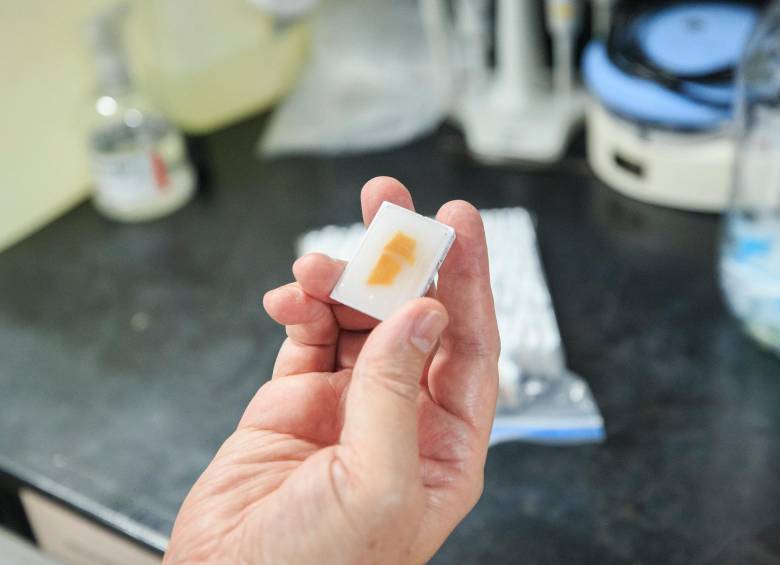 Con 583 cerebros almacenados y miles de muestras de tejido, sangre, plasma y ADN, es único en Colombia. FOTO CAMILO SUÁREZ