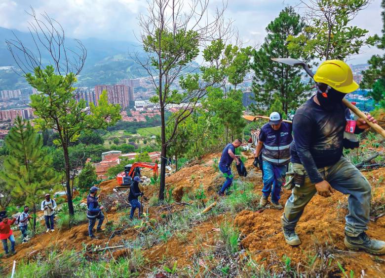 Desde 2025, las autoridades de Bello lanzaron una ofensiva para controlar la construcción de barrios irregulares en el Cerro Quitasol, una zona de gran importancia ambiental . FOTOS CORTESÍA ALCALDÍA DE BELLO 