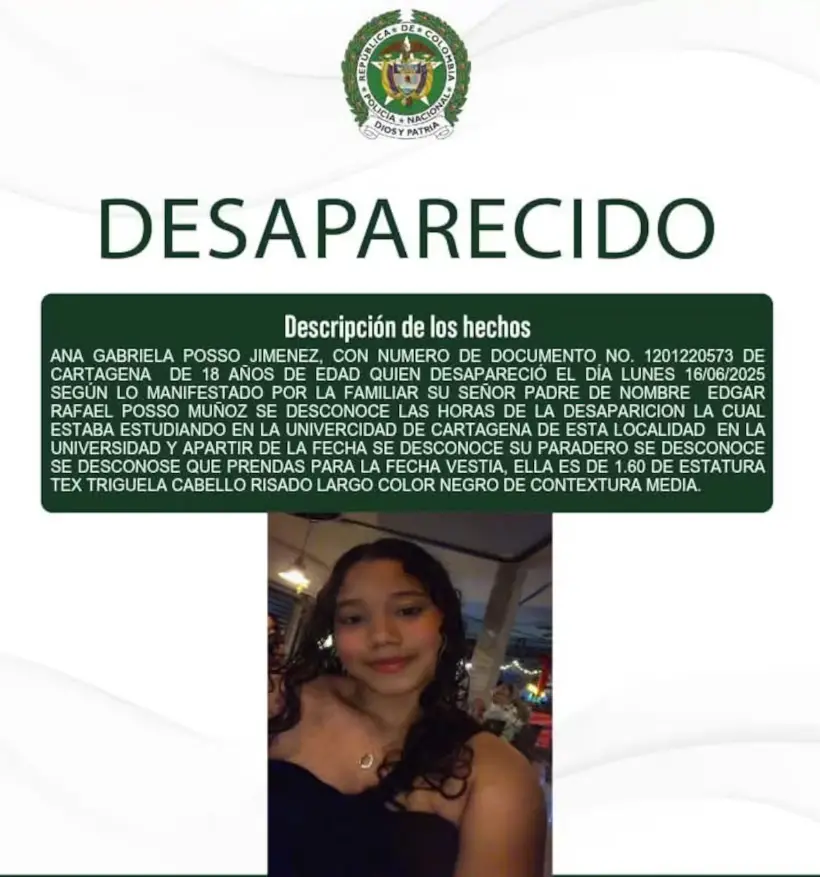 InfogrÃ¡fico