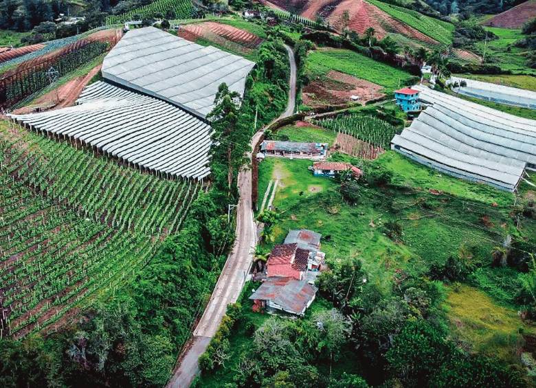 En la vereda La Sonadora, de Guatapé, se terminó una de las pocas obras de este tipo que se han entregado en Antioquia. FOTO Invías