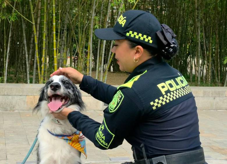 En el Valle de Aburrá, 2.023 mujeres integran la institución y cumplen funciones que van desde las labores operativas hasta los programas educativos y comunitarios. FOTO Policía Metropolitana. 