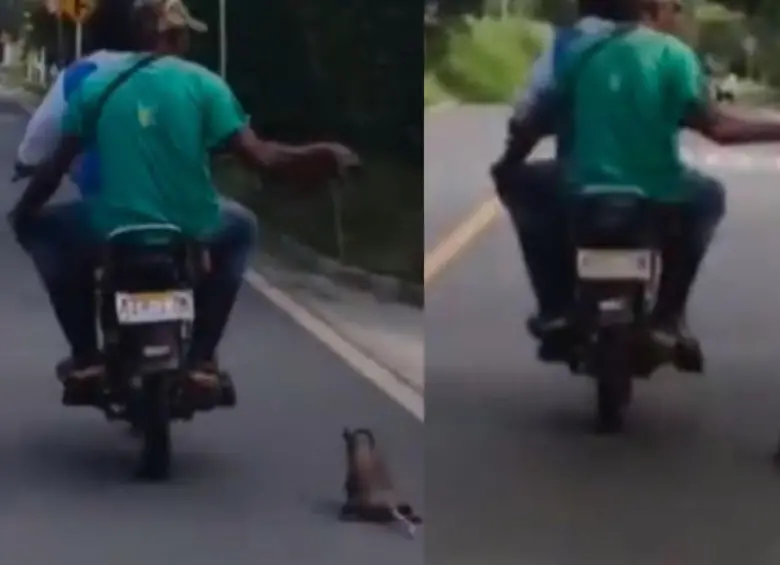 La zarigüeya fue arrastrada varios metros por hombres que viajaban en una moto. Foto: Captura de video