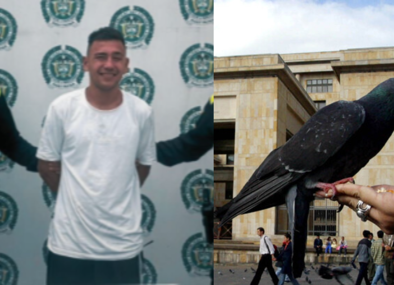 Ronald Stiven Trigos Rodríguez ya habría cometido ataques similares en Ocaña. En el más reciente habría decapitado a diez palomas. Foto: Fiscalía, Colprensa.