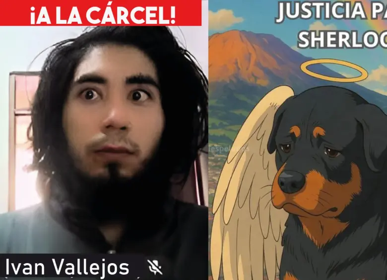 El perrito se llamaba Sherlock. Foto: Plataforma ALTO. 