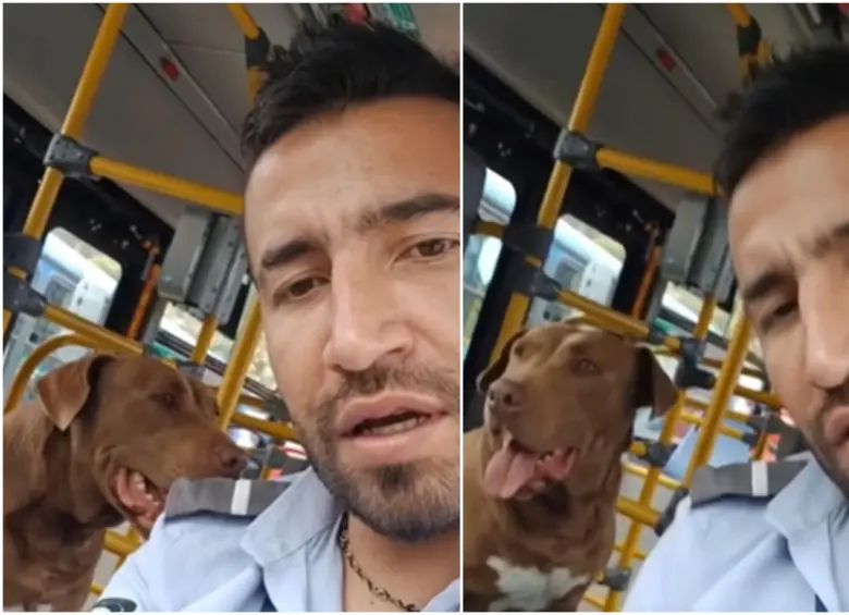 Momento de cuando “Bruno” estaba con el conductor del Sitp en el bus. FOTO: Redes sociales @PlataformaALTO