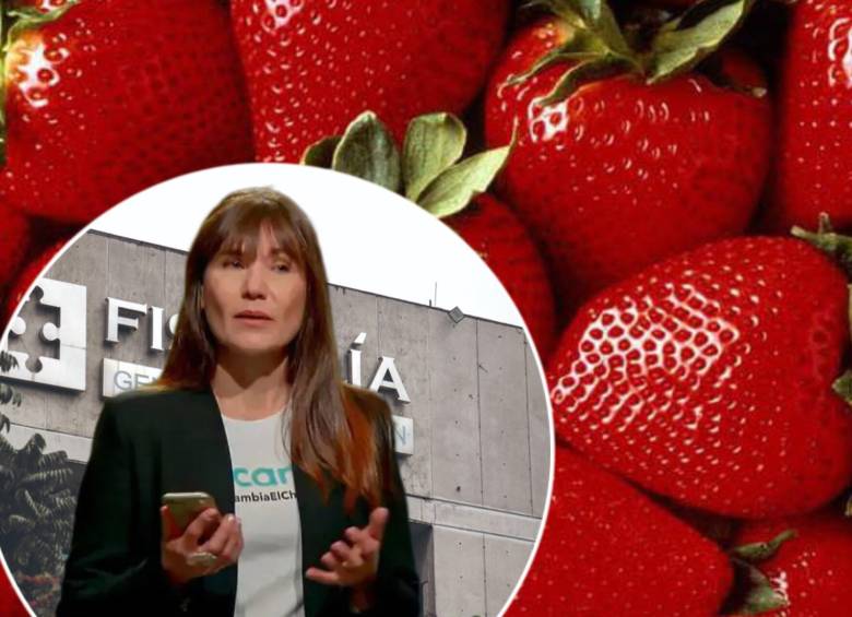 Las propinas al domiciliario y los números vinculados a la entrega de las frambuesas serían otras pistas que la Fiscalía usaría en contra de la empresaria Zulma Guzmán en medio de la investigación por el fallecimiento de dos niñas envenenadas con talio. Fotos: Colprensa y captura video