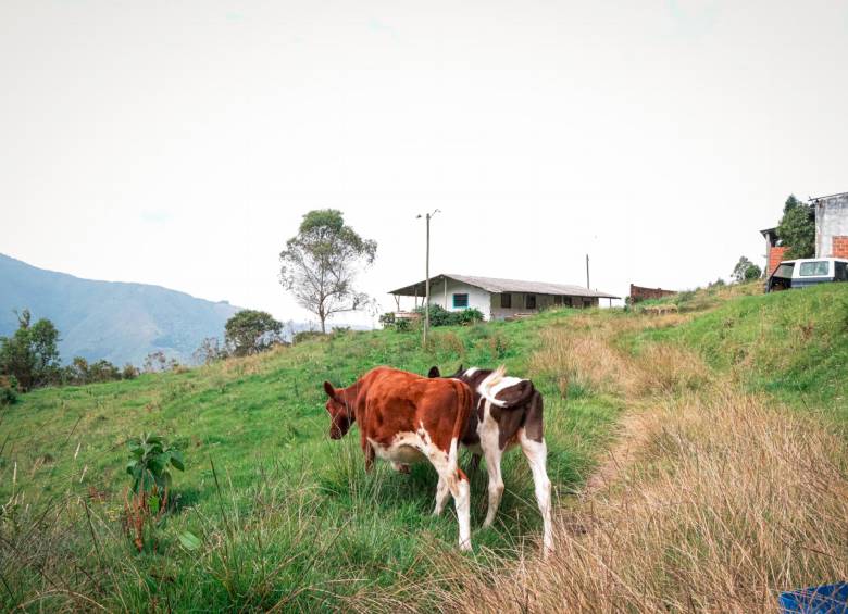 Finca de 70 hectáreas en Medellín y hotel fueron entregados a firmantes