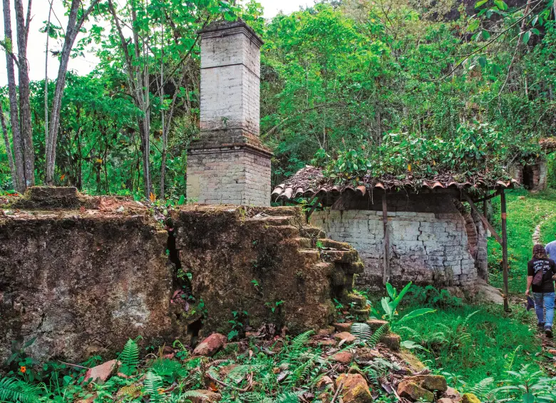 Hoy la zona es una reserva forestal donde los centenarios hornos sobreviven no solo a la naturaleza sino a los estragos de los vándalos. Los hornos ya amenazan ruina. FOTO JULIO CÉSAR HERRERA