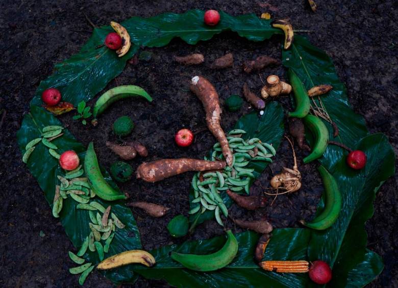Entre fogones, huertas y recetas locales se tejió una guía que celebra la diversidad alimentaria de Colombia. FOTO cortesía UdeA
