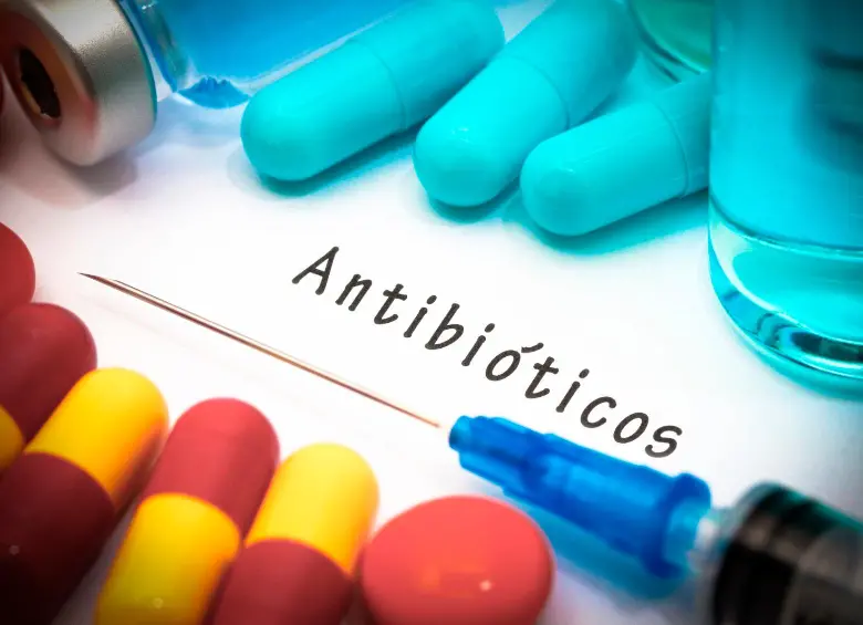 ‘E. coli’ y ‘K. pneumoniae’ son las principales bacterias gramnegativas resistentes a los antibióticos. Foto Getty. 