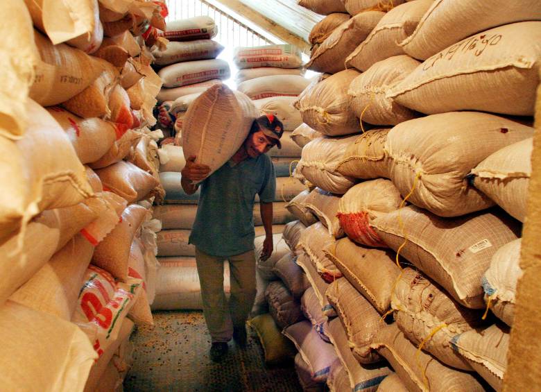 Según Fenalce, a junio, se exportaron 301.498 kilos de maíz blanco a Estados Unidos, Chile y España. FOTO EL COLOMBIANO
