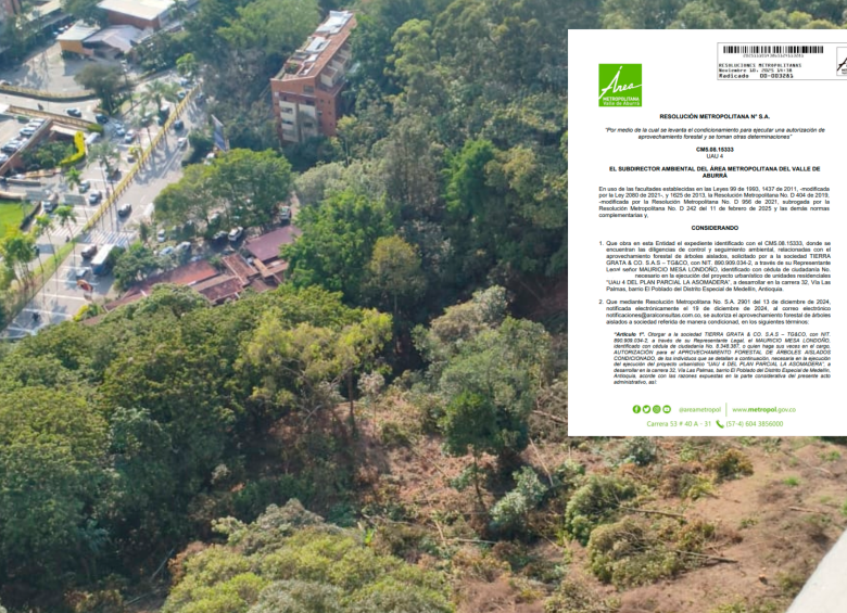 Esta es la zona donde se realiza la tala para erigir dos unidades residenciales en un lote cercano a Las Palmas. FOTO: Cortesía Área Metropolitana