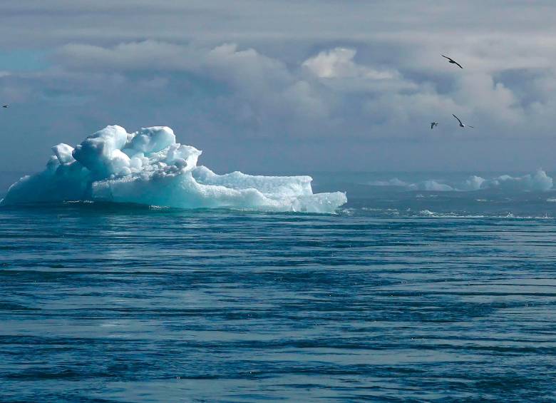 En la Conferencia de las Naciones Unidas sobre los Océanos, que se realiza en Niza, científicos y líderes de la sociedad civil alertan sobre el deterioro acelerado de los ecosistemas marinos y exigen compromisos reales para frenar la crisis. FOTO Pixabay