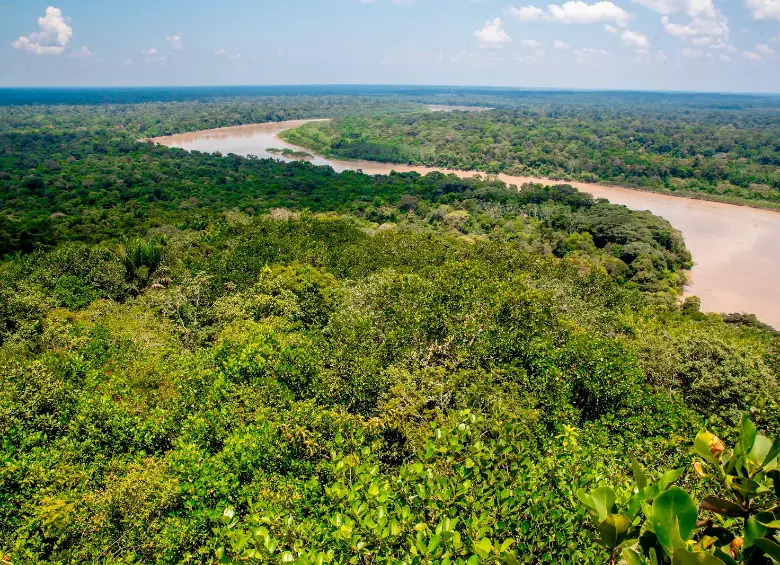 La restauración y protección de los bosques es una de las prioridades de los territorios que integran el GCF Task Force, una red que impulsa soluciones locales frente a la crisis climática. FOTO: Juan Antonio Sánchez