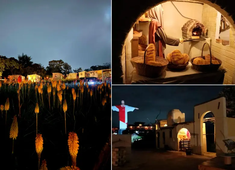 De noche el espacio se ilumina de una manera especial para el disfrute de los visitantes. FOTOS: Cortesía Jardín Silletero