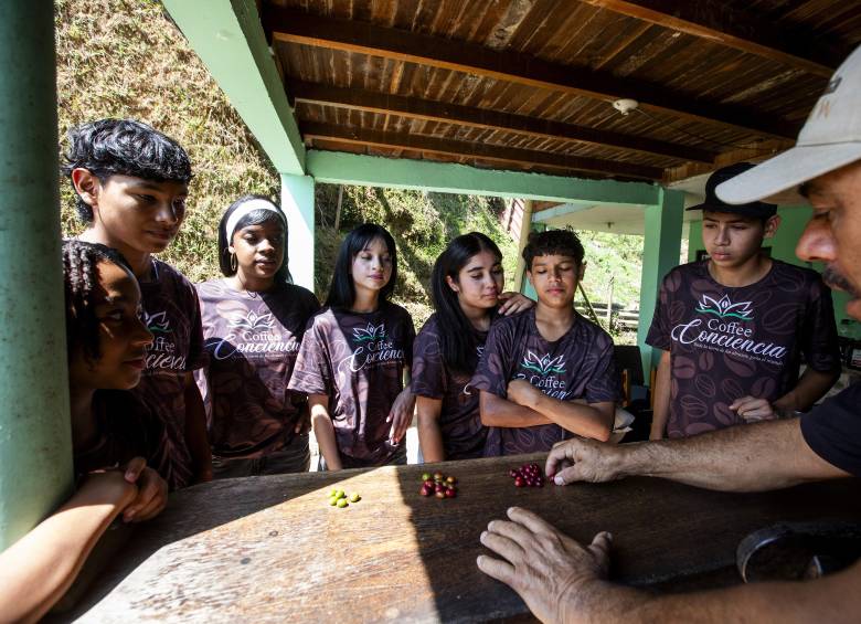 Los niños escogidos del proyecto son formados en el proceso del café, desde la siembra hasta la comercialización. Al frente, don Walter Patiño. FOTO Julio César Herrera