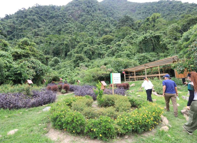 El refugio de los polinizadores es uno de los nuevos atractivos del Parque Cerro Tusa. FOTO: Esneyder Gutíerrez.