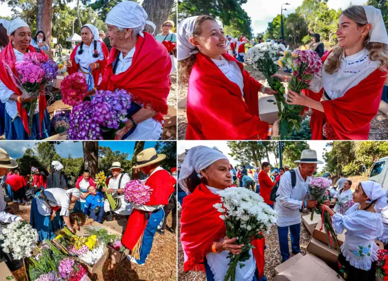 Los silleteros intercambiaron crisantemos, hortensias y hasta girasoles. FOTOS Manuel Saldarriaga