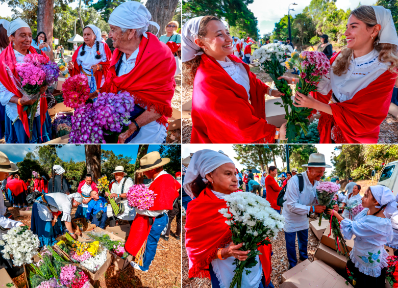 Los silleteros intercambiaron crisantemos, hortensias y hasta girasoles. FOTOS Manuel Saldarriaga