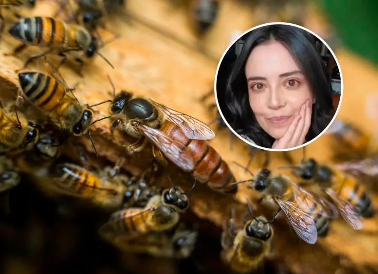 El ataque de abejas sobre Andrea del Pilar Fandiño Palacios ocurrió en zona rural del municipio de Ortega, Tolima. FOTOS: Archivo EL COLOMBIANO y tomada de redes sociales 