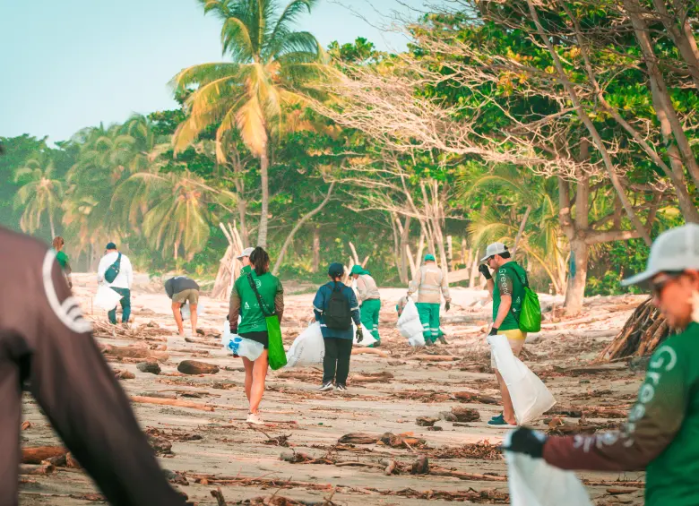 GreenSouls ha recolectado hasta 200 toneladas de basura en sus jornadas de limpiezas. FOTO CORTESÍA. 