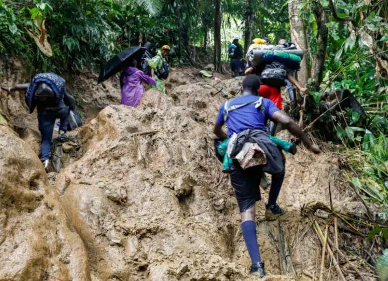 MSF atendió también a 1.955 sobrevivientes de violencia sexual. FOTO: Manuel Saldarriaga
