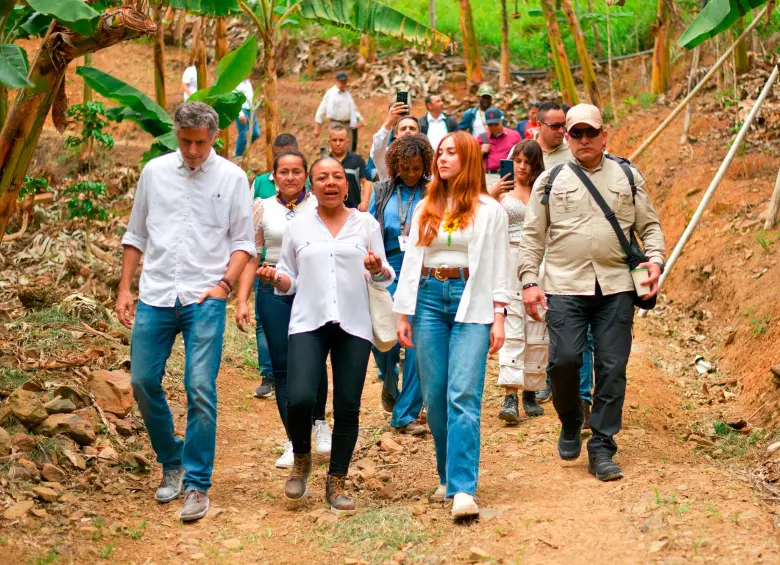 Grupo Éxito ha adquirido más de 72 mil kilos de plátano, banano, tomate, lulo y plátano guayabo a Asoculsan. FOTO CORTESÍA