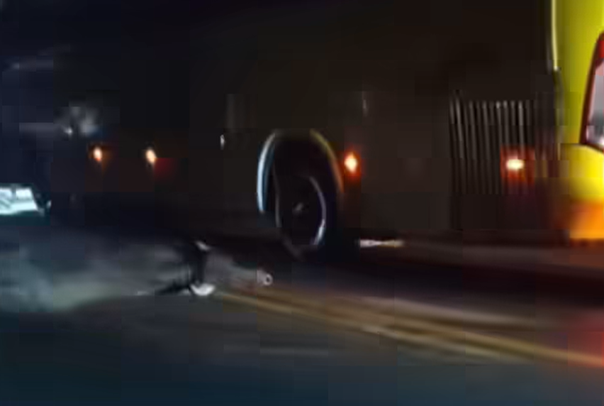 Bus chocó contra varios animales dejando dos muertos y uno herido en Urabá. FOTO: Cortesía Redes sociales Bus chocó contra varios animales dejando dos muertos y uno herido en Urabá. FOTO: Cortesía Redes sociales
