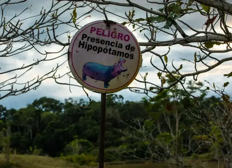 Hipopótamos en el Magdalena Medio, letrero “peligro, presencia de hipopótamos”. Foto: EL COLOMBIANO
