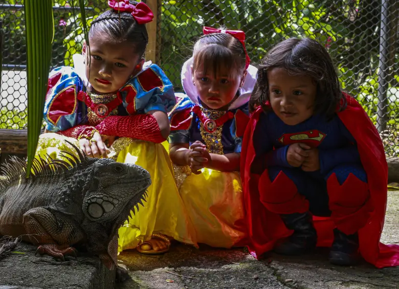 Imagen de referencia de niños disfrazados en un parque de Medellín. Foto: Manuel Saldarriaga Quintero. Imagen de referencia de niños disfrazados en un parque de Medellín. Foto: Manuel Saldarriaga Quintero.