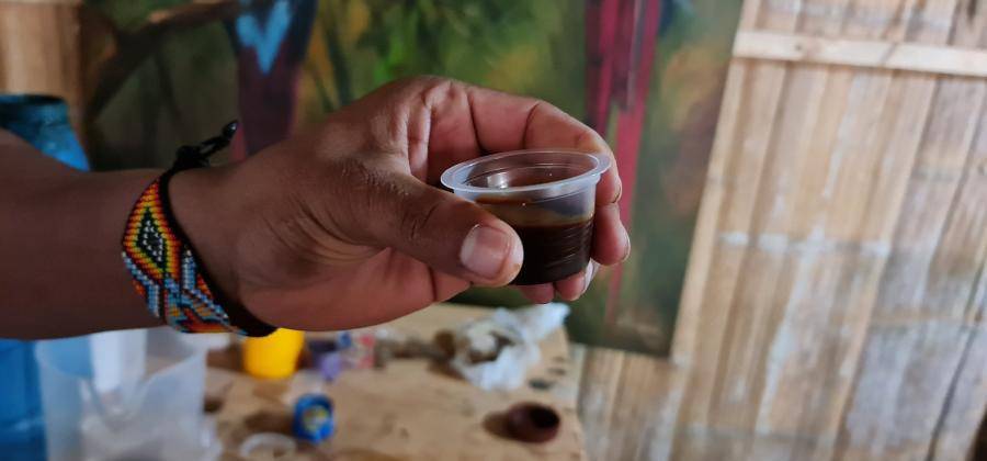 <b>La</b><b> bebida indígena conocida como yagé o ayahuasca es tradicional en países como Colombia y Perú; sin embargo, en México puede ir a la cárcel por poseer esta bebida. Foto: Santiago Olivares Tobón</b>