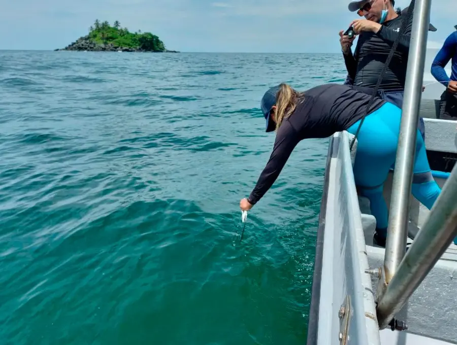 Investigadores durante el trabajo de campo en el Golfo de Urabá, donde recolectaron muestras de la microcapa superficial marina para su análisis en laboratorios especializados. FOTO cortesía UdeA