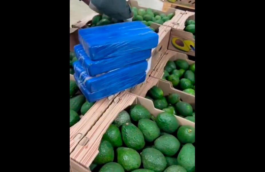 Imágenes de los paquetes de cocaína encontrados en un cargamento de aguacates que iba a salir desde Santa Marta. FOTO CAPTURA DE VIDEO