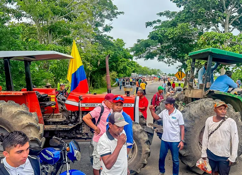 Los productores de arroz exigen seriedad y cumplimiento de los compromisos asumidos por el gobierno de Gustavo Petro en marzo pasado, los cuales siguen pendientes. FOTO Cortesía