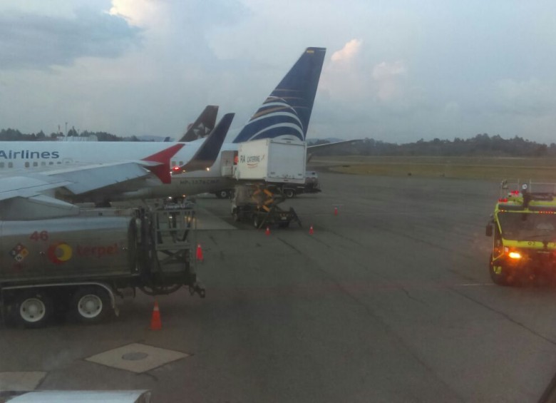Avión de VivaColombia tuvo que aterrizar en Rionegro al ser impactado por un ave