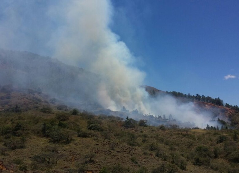 El incendio se produjo en la parte baja del cerro Quitasol de Bello. FOTO CORTESÍA