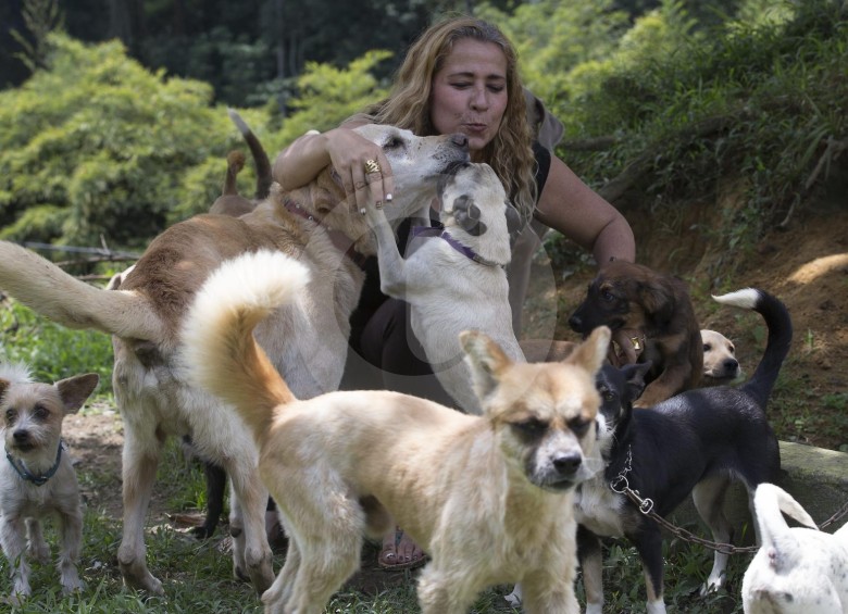 Aunque Ángela Reyes les da amor a los animales, la autoridad dice que debe acogerse a las normas. FOTO donaldo zuluaga